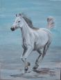 Camargais-2002-Acrylique/toile